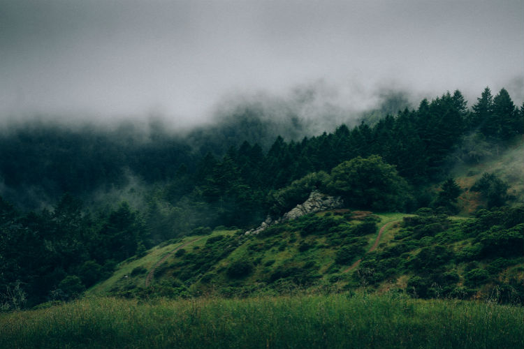 服务器攻击方式